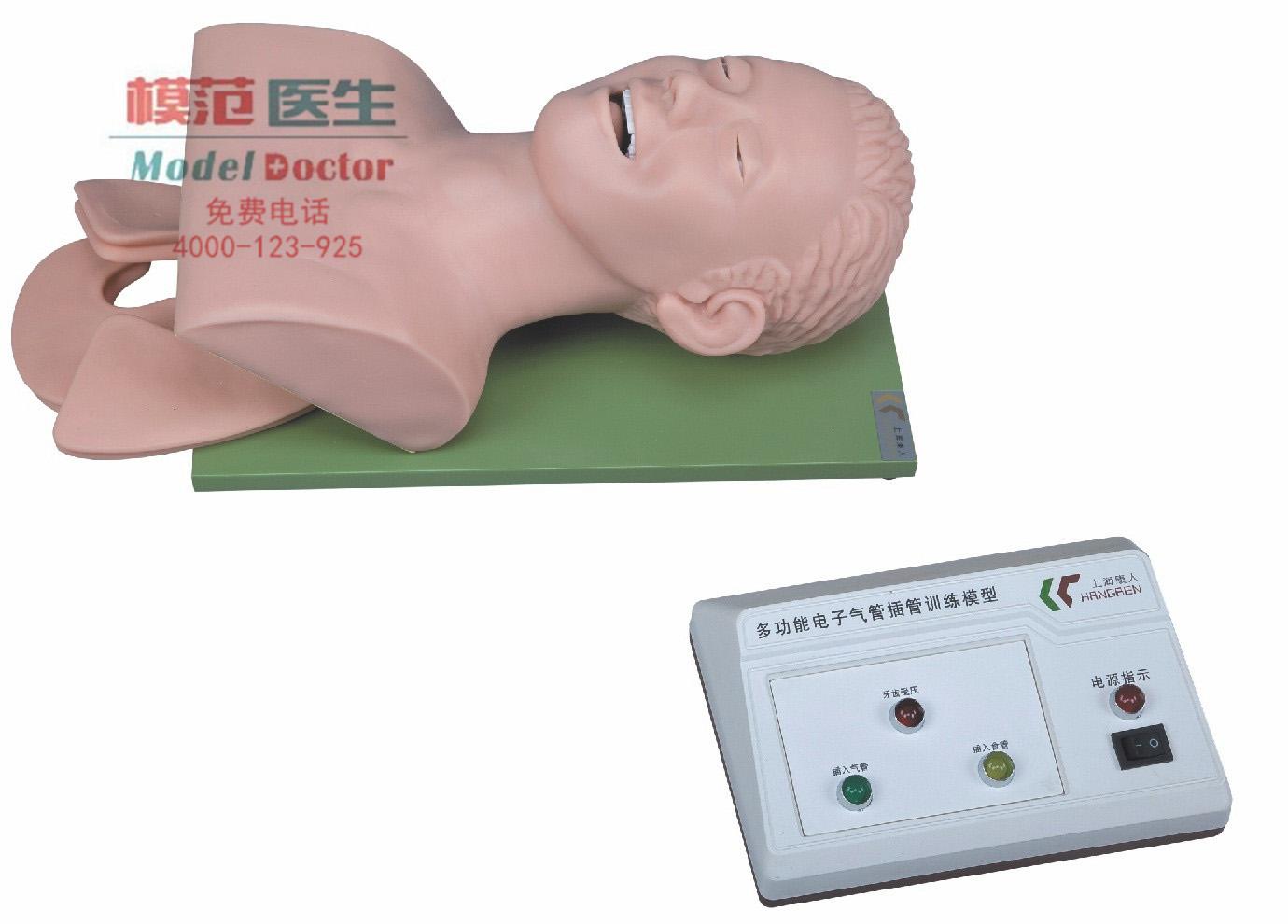 電子人體氣管插管訓練模型