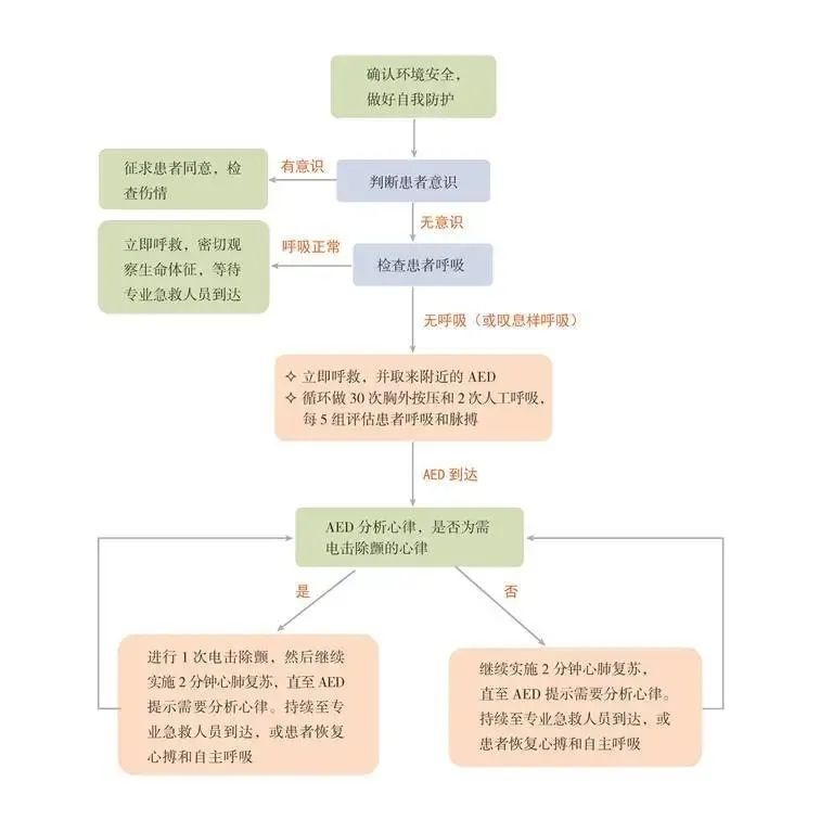 醫(yī)學(xué)教學(xué)模型